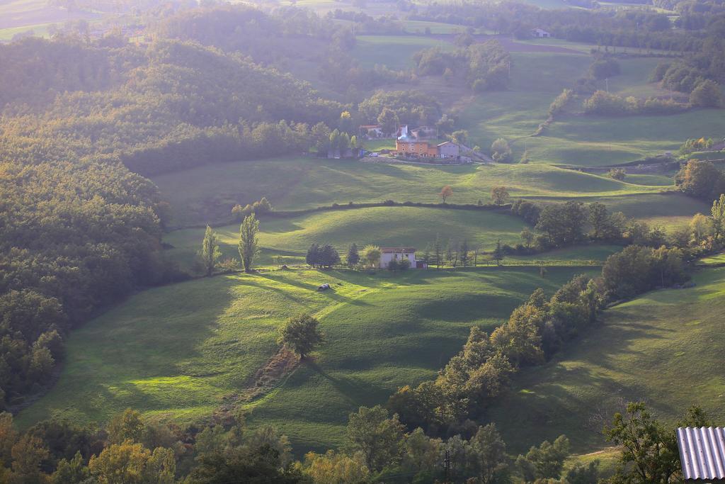 Fattoria Ca' Di Fatino